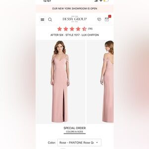 NWT Dessy bridesmaid dress in Rose lux chiffon